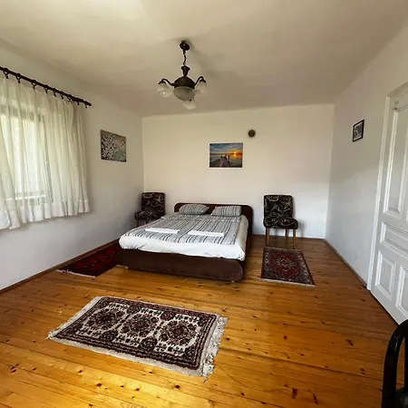 Mona Проживание в семье Сараево